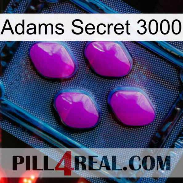 Adams Secret 3000 04.jpg